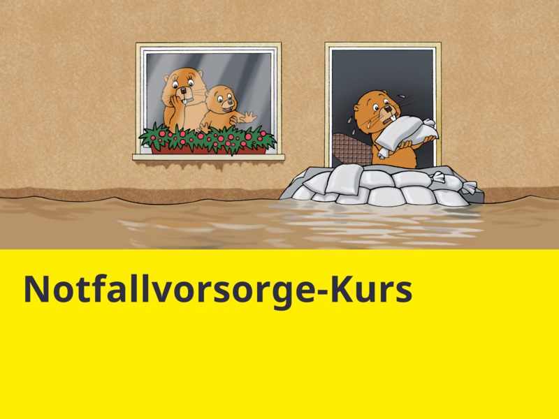 Vorbeugung und Reaktion in Notlagen.png