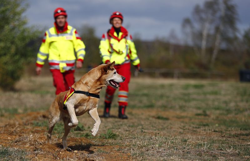 Erste-Hilfe Grundkurs.png Rettungshundestaffel.jpg